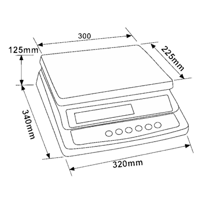 tischwaage_ws_z