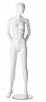RINGO FEMALE-2