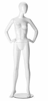 RINGO FEMALE-4
