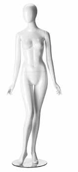 RINGO FEMALE-5