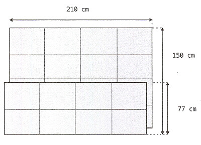 Practical-Schutzauflagen